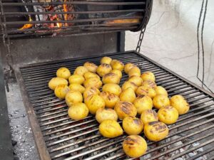 Holzkohle Grill